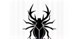 Stag Beetle Sports